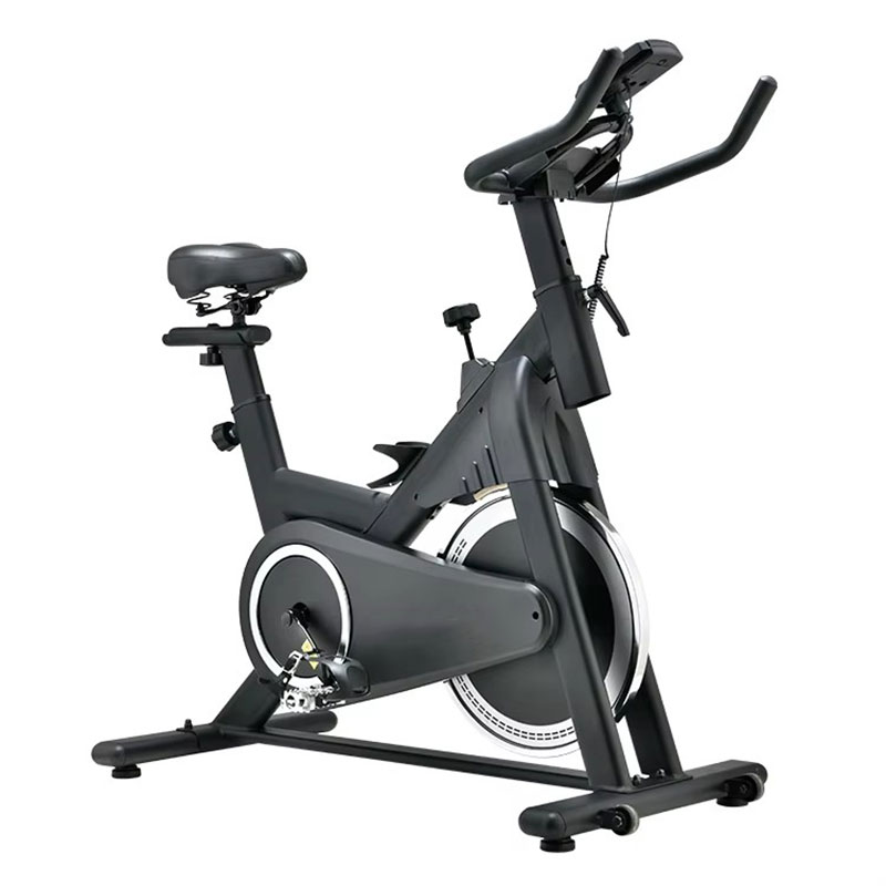 Wholesale 2025 New Top Sports  - Home Gym Bike recensione e prezzo