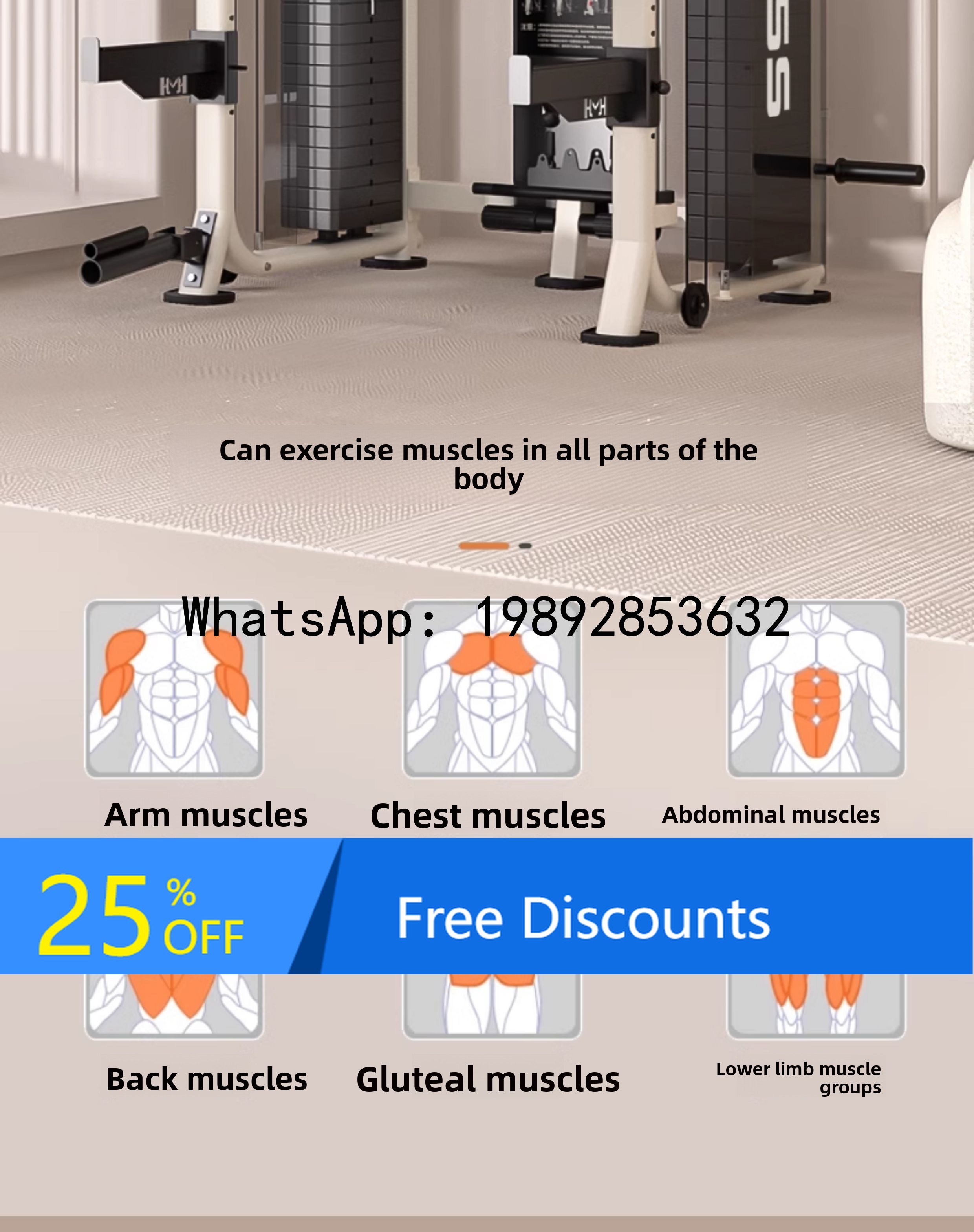 B1 Comprehensive Training Equi - Home Gym One Machine recensione e prezzo