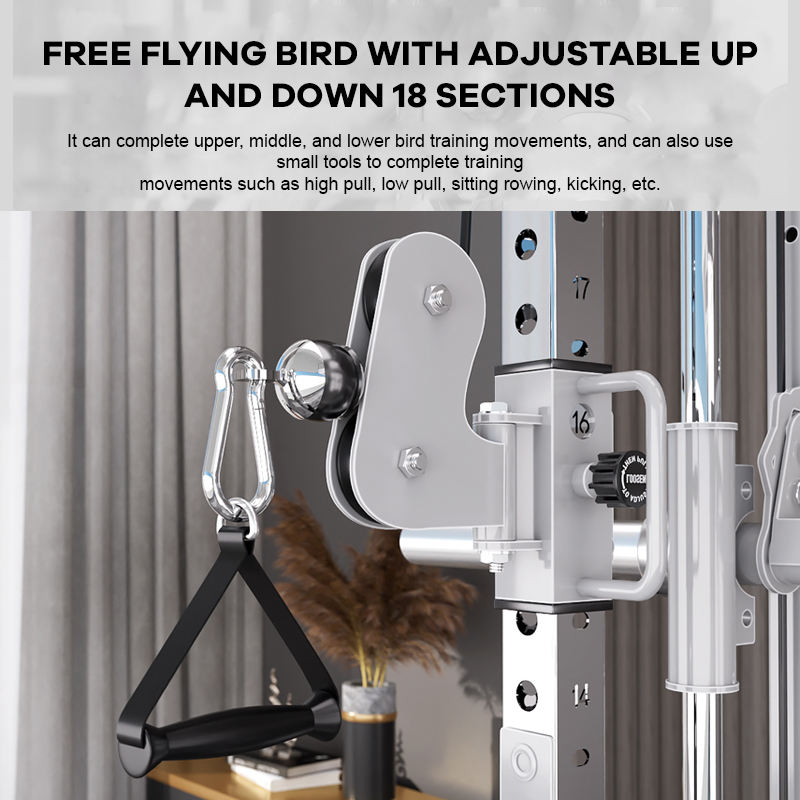 YTYIN Factory Supplier Home Gy - Home Gym Smith recensione e prezzo