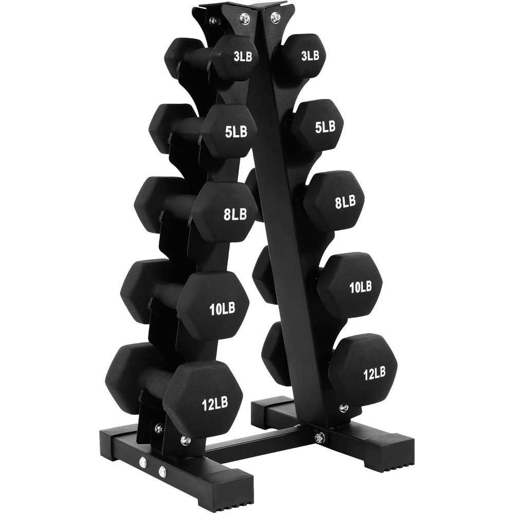 Hex Neoprene Iron Dumbbell Set - Home Gym Dumbbell Set recensione e prezzo
